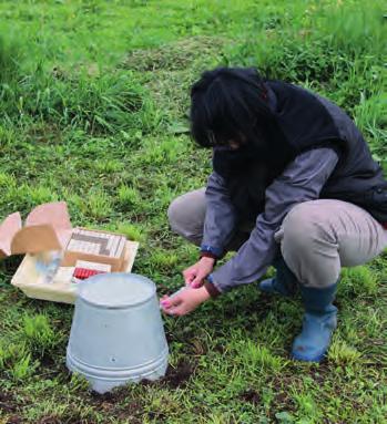 Půdy proto vždy produkují CO 2, jenž je emitován do atmosféry, i když současně se může CO 2 v té samé půdě i spotřebovávat.