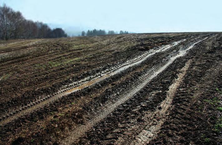 15 Degradace půdy a emise skleníkových plynů z půd a ze zemědělství nutné zlo? z půd po zapravení velkého množství na dusík bohatých zbytků rostlin (např.