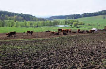 Rozmanitost života a zdraví ekosystémů 16 mínkám.