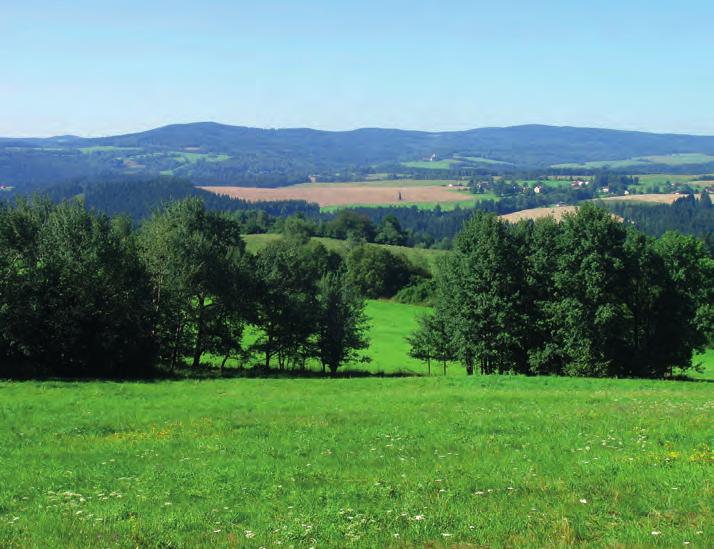 Rozmanitost života a zdraví ekosystémů 4 Obrázek 2.
