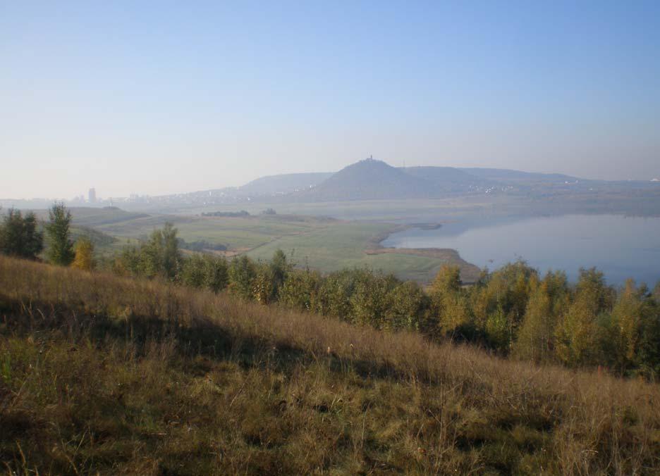 objevují velmi malé oblasti bez vegetace (jejich výskyt byl zmapován).