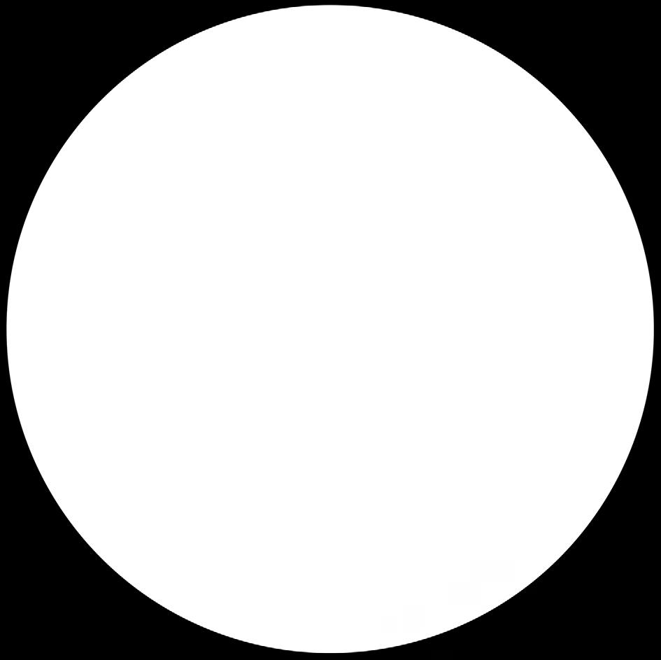 lícní strana s