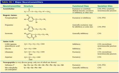 CHARAKTERISTIKA NEUROTRANSMITERŮ - SYSTÉMY Systém Mediátor cholinergní acetylcholin aminokys.