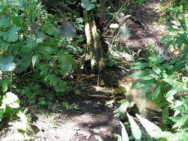 V malé studánce si doplňuji vodu do své čutory. Stejně je to krásné, že se ještě alespoň někde můžeme napít z té přírodní vody. S dosti velikou námahou se dostávám až na vrchol.