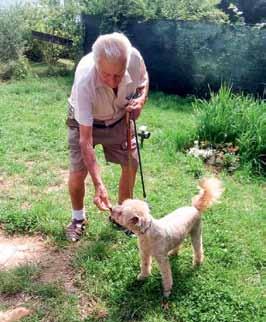 Dogsie je radost i pomoc Říká se, že pes je nejvěrnější přítel člověka. A přesto tito naši přátelé plní útulky a bohužel slouží i jako obchodní artikl.