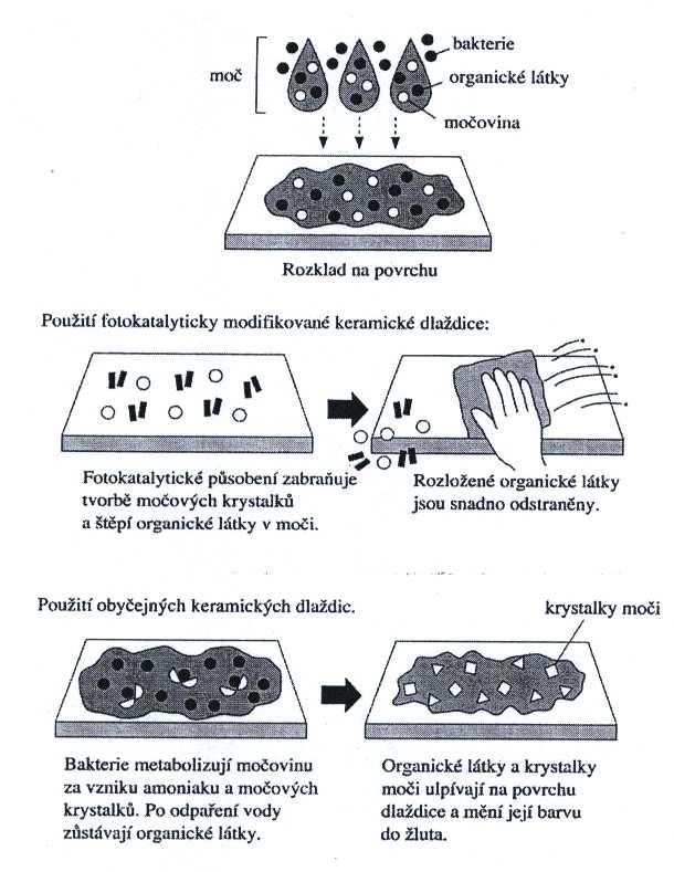 samočisticího cyklu