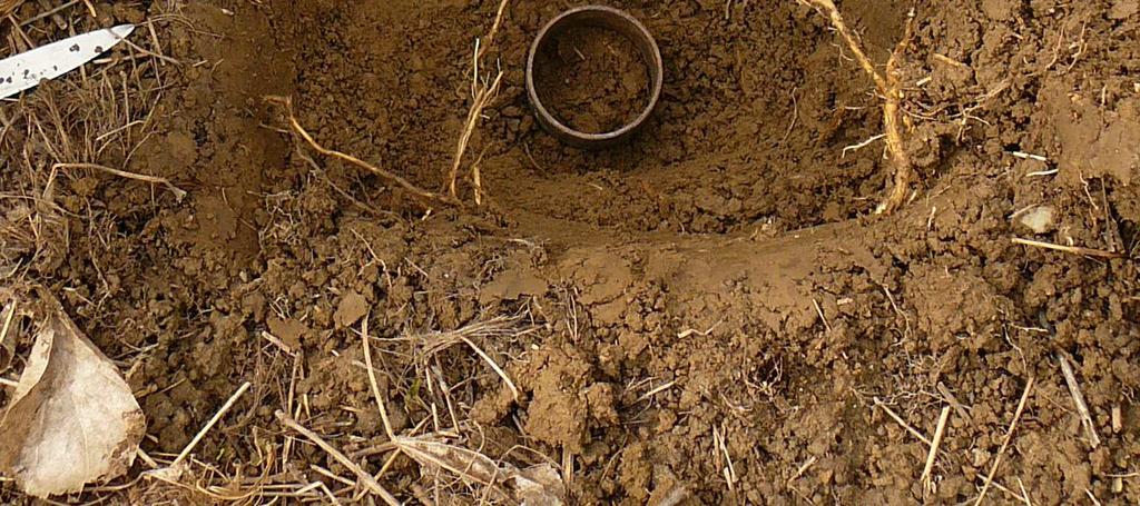 Obrázek 7: Odběr neporušeného půdního vzorku (foto Ústav