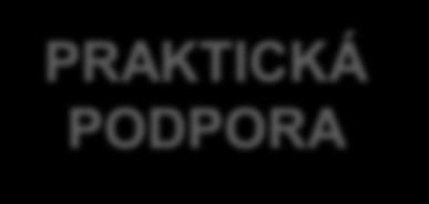 Rok 2012 začátek změny systému ochrany ohrožených rodin a dětí VIZE Národní strategie ochrany práv dětí a Akční plán na období 2012-2015 SYSTÉMOVÁ PODPORA Novela zákona č. 359/1999 Sb.