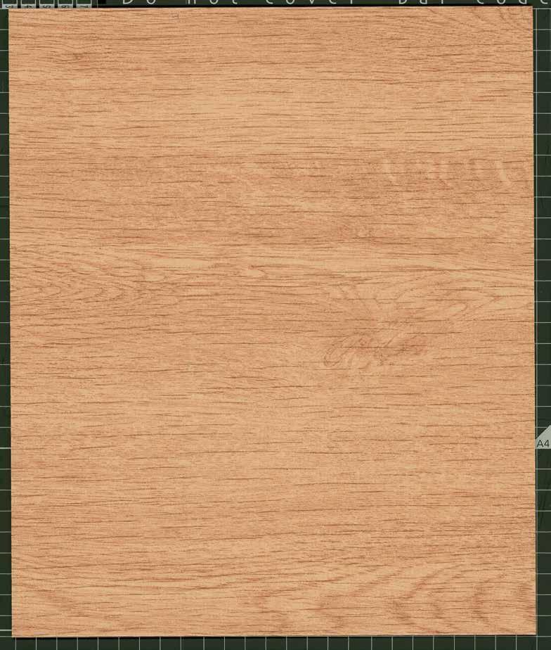 DECOWOOD Tento panel byl navržen k ochraně před nárazem a otěrem, ale díky své povrchové úpravě s motivem dřeva přináší rovněž pocit tepla a styl.