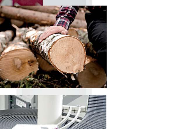 oblasti: Metsä Tissue, Metsä Board, Metsä Fibre, Metsä