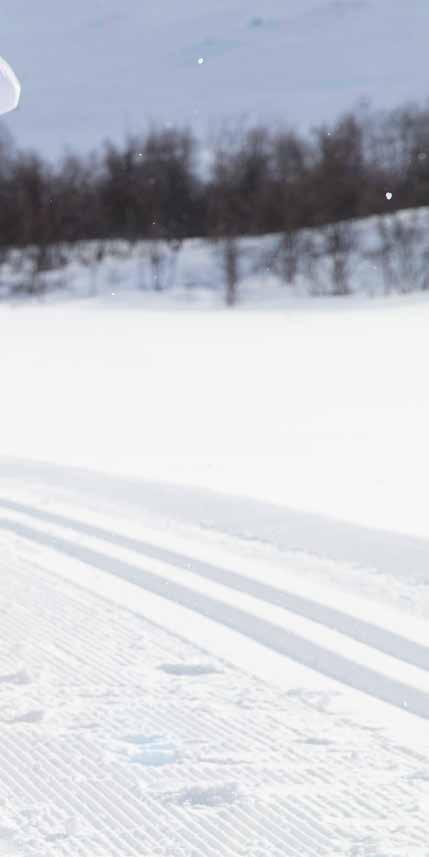 TRAINING Kolekce Training je určená pro lyžařské nadšence, kteří považují běžecké lyžování za důležitou součást svého tréninku a nemůžou