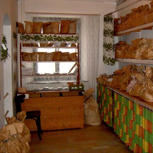 MIKULÁŠ