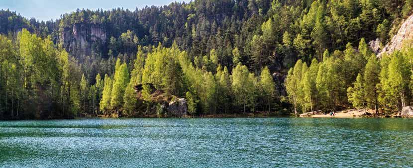 Odbor hydrauliky, hydrologie a hydrogeologie Referenční laboratoř složek životního prostředí a odpadů Odbor ochrany vod a informatiky Zaměřuje se na řešení úloh z oblasti hydrauliky a hydrologie