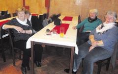 Na areál zahradnictví s rozličným sortimentem okrasných a ovocných dřevin, keřů, dále jehličnanů, rostlin, skalniček atd. jsem kolikrát hleděl při jízdě vlakem do Prahy.