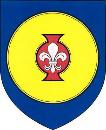 rozšířenou působností (SO ORP).