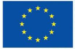19.3.1 Znak EU Znak EU má obdélníkový tvar a obsahuje 12 pěticípých hvězd.