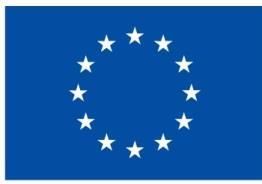 Varianty zobrazení: 13.4.1.1 Barevné zobrazení 13.4.1.2 Jednobarevné zobrazení 50 Uváděné varianty zobrazení znaku EU a povinných odkazů nejsou úplným výčtem, další lze nalézt na stránkách www.mpsv.