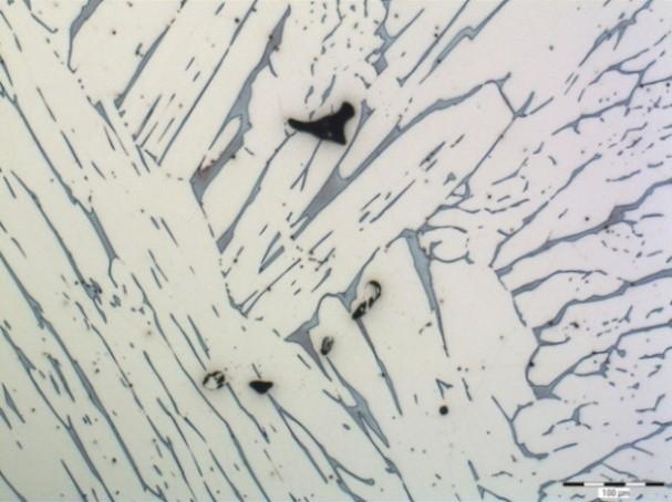 Obr. 4-6 Mikrostruktura odlitku ve výchozím stavu bez tepelného