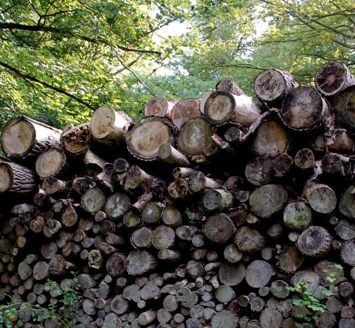 IKONY STARÁME SA V KATALÓGU JE NIEKOĽKO IKON ZVÝRAZNENÝCH ZELENOU FARBOU. OZNAČUJÚ VLASTNOSTI VÝROBKU, KTORÉ VPLÝVAJÚ NA ZNÍŽENIE SPOTREBY ENERGIE.