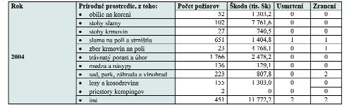 Požiarovosť v prírodnom prostredí Zdroj: P HaZZ MV SR Povodne V roku 2004 bolo 111 dní s povodňovou aktivitou, pričom najviac povodňových situácií bolo vo východoslovenskom regióne v júli a auguste.