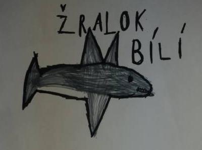 Co jsme již v letošním školním roce zažili V letošním školním roce toho naše základní škola již mnoho zažila.