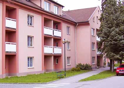 pečovatelské služby prádelna, pedikúra a kadeřnictví.