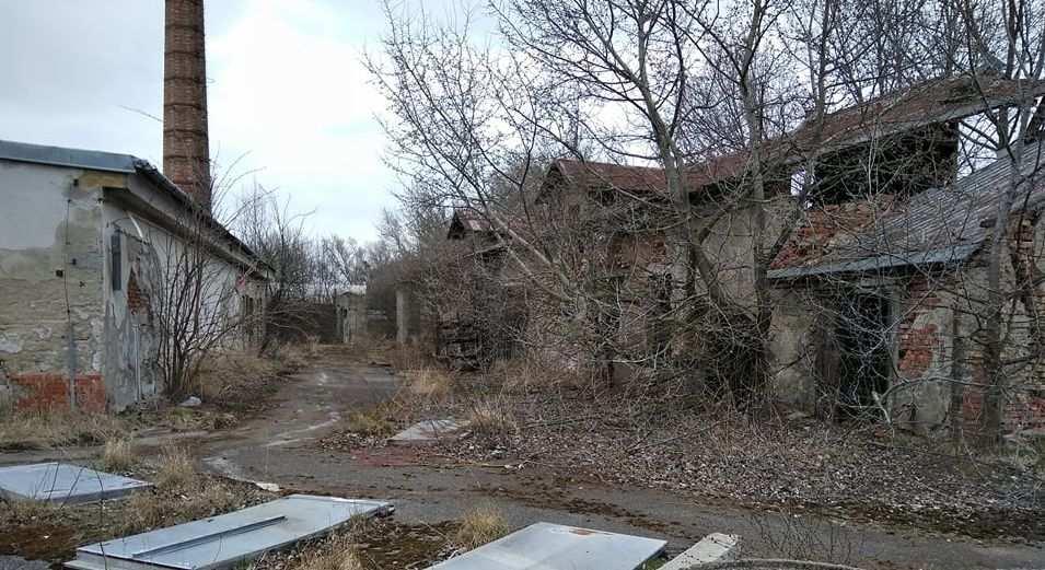 Areál