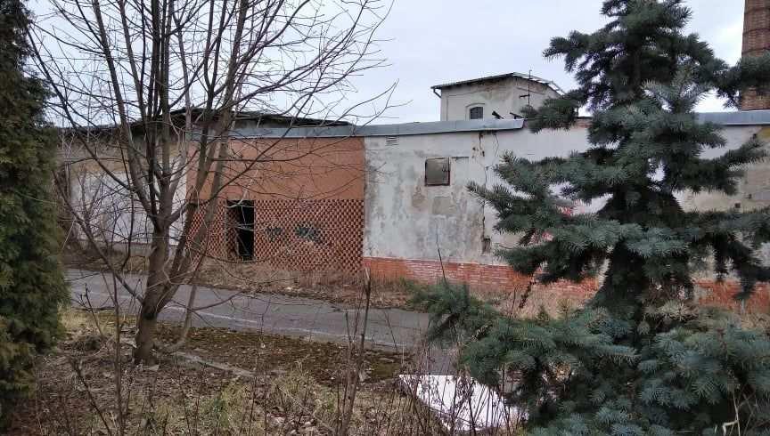 Barbořina