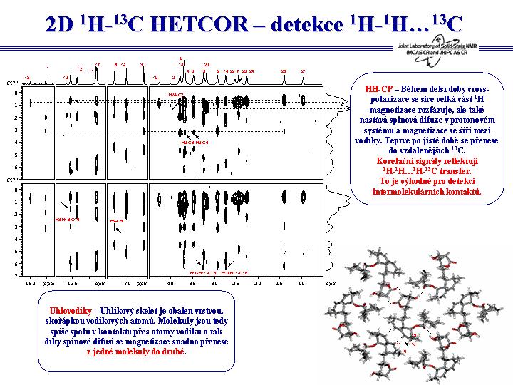 Štafetový přenos polarizace v protonovém spinovém systému tedy do jisté míry komplikuje sledování cesty vodíkové polarizace a snižuje selektivitu experimentu.