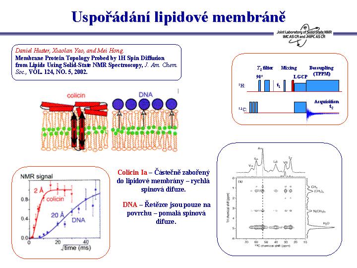 Podobný typ experimentu byl také uplatněn pro posouzení struktury topologie membránových proteinů. V tomto případě nebyla nejprve aplikována homodeklovací FSLG perioda, ale T 2 filtr.