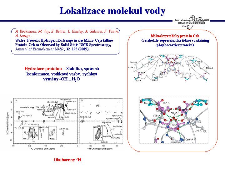 Následně se tato magnetizace vyvíjela podle 1 H chemického posunu a pak prostřednictvím spinové difuze šířila i do rigidních složek proteinu či DNA.