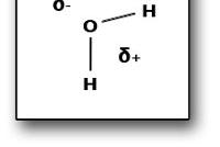 Molekula vody a její vlastnosti Základní charakteristiky: malá (průměr asi 2,8 Å), relativně lehká, polární (vytváří relativně silný dipól), Asociace molekul