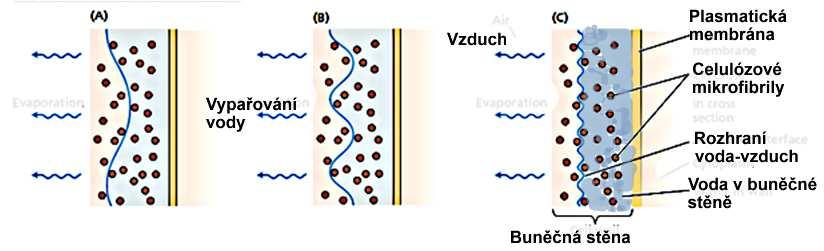 radius v