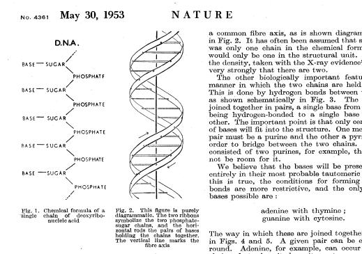HISTORIE DNA A B Obr.