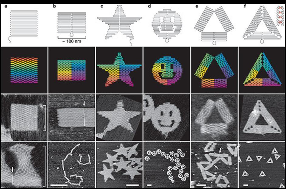 55(1): p. 79-89 Obr. 2: Rothemund, P.W.K., Folding DNA to create nanoscale shapes and patterns. Nature, 2006. 440(7082): p. 297-302 Obr.