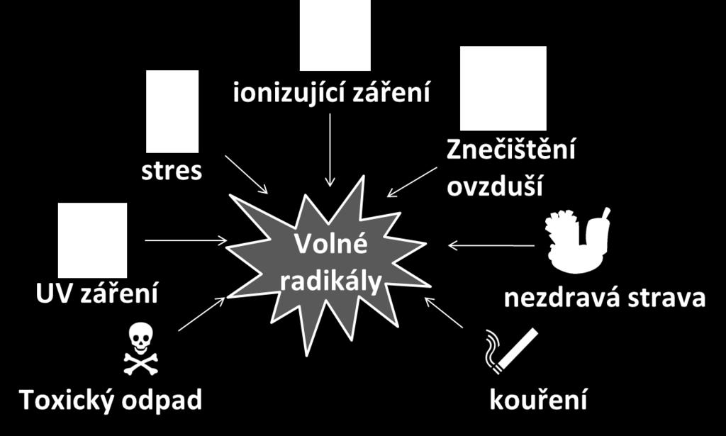 Poškození DNA vyvolané
