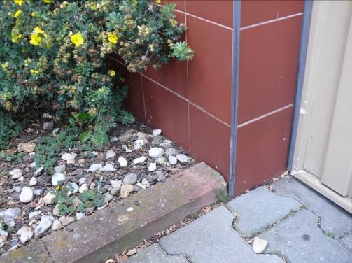 Problém způsobuje chybné umístění prvního řádku obkladu, které měl být umístěn o min. 10 cm výše.