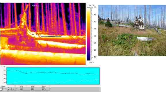 Barevná syntéza dvou satelitních snímků Landsat z termínů 1986 a 2009 ukazuje plochy na nichž byl vykácen les (červená barva), plochy zalesněné v obou termínech (zelenohnědá), několik malých