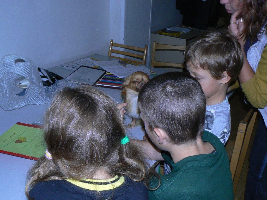 Ve čtvrtek 6. 9. jedeme nejenom za dětmi, ale v odpoledních hodinách se koná supervize, na kterou se moc těšíme- určitě tam máme o čem mluvit. Dnes má po dlouhé absenci premiéru také Fanynka.