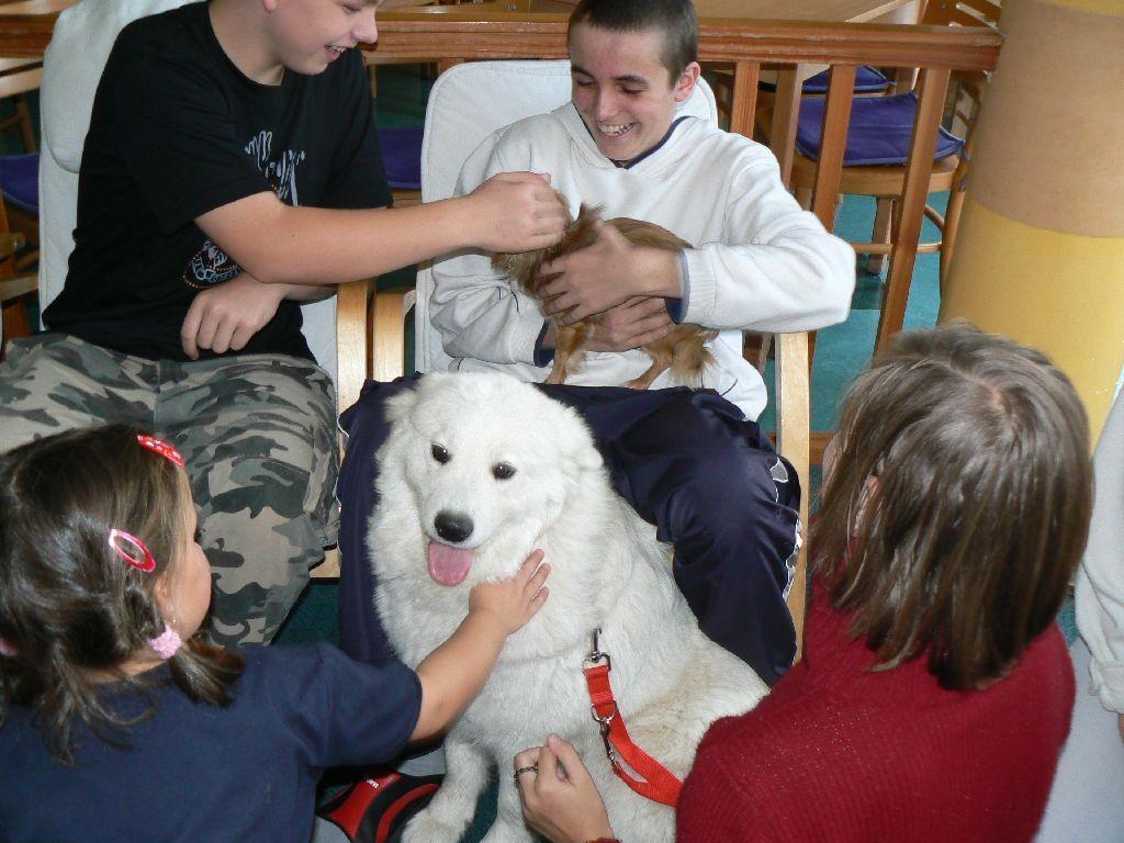 jsme zabavily všechny, bez ohledu na věk. Bavily se i přítomné maminky, byly jsme pro ně příjemným zpestřením.