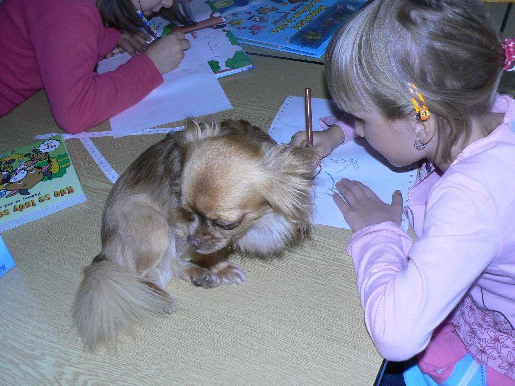 Vzhledem k tomu, že pracujeme s dětmi a zvířaty a že budujeme zookoutek, bude pro nám účast na tomto semináři velmi užitečná.
