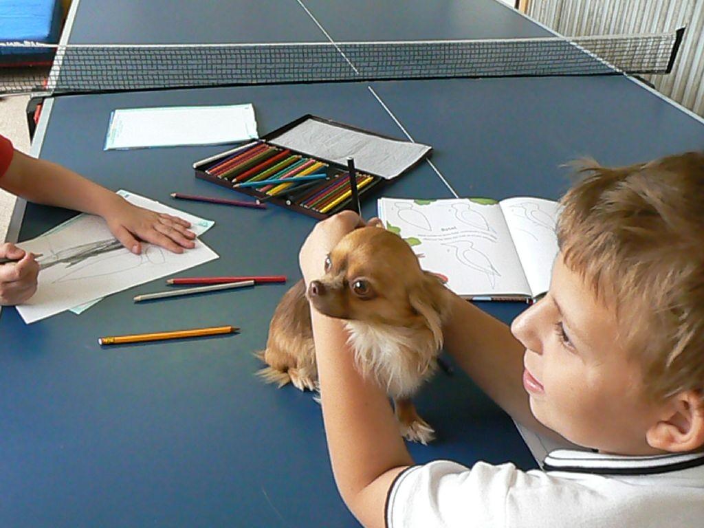 Dnes se k nám hlásil a sám chtěl zařadit do skupiny, které se budeme věnovat.