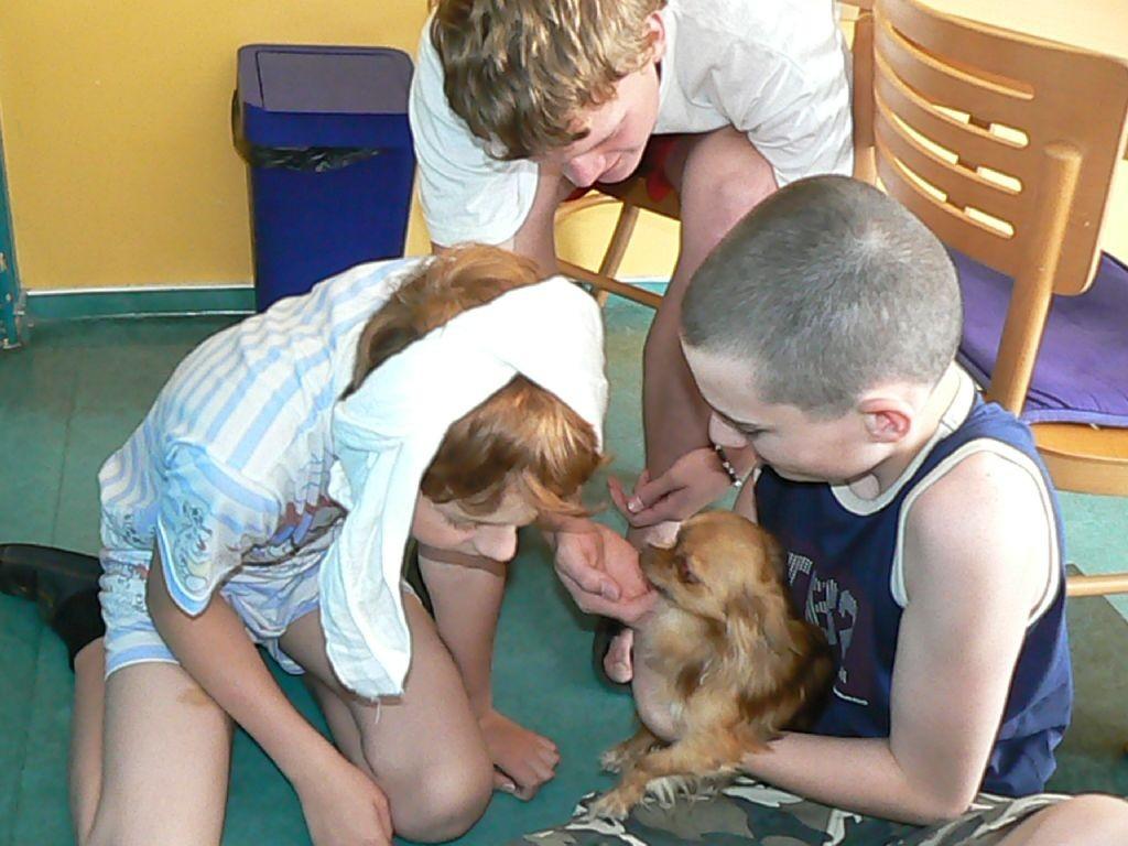 Hráli jsme si se skládačkou, plyšáčky, mazlily Darinku, dnes byla herna plná smíchu. Horké ovzduší nás ubíjelo všechny. Jak my, tak Darinka jsme velmi uvítaly setkání s děvčaty na oddělení děts.