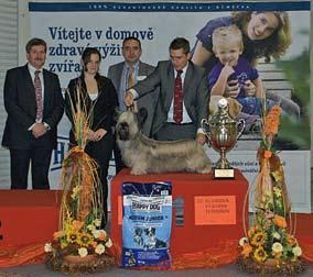 Westwood BIS KVT Nitra GLOCK STAWKA WIEKSZA NIŽ ŽYCIE