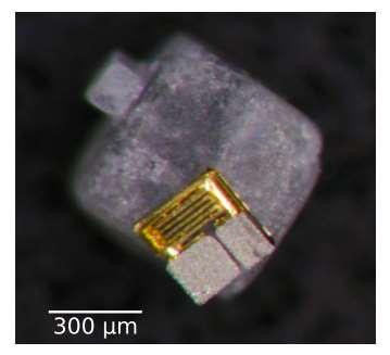 2.3 Magmites Obrázek 3: MagMite na povrchu zrnka soli Magmites jsou magnetické aktuátory využívající bezdrátové technologie.