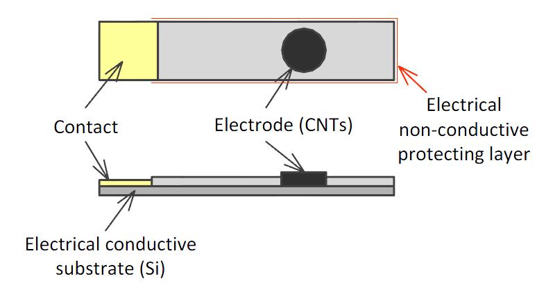 Obrázek 5.5: Schéma pracovní křemíkové elektrody s přímo rostlými CNTs [47] Obrázek 5.