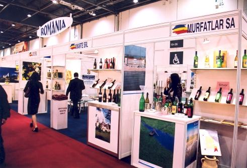 Výstavní expozice