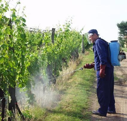 Ochrana viniča pred kvitnutím dithane m 45