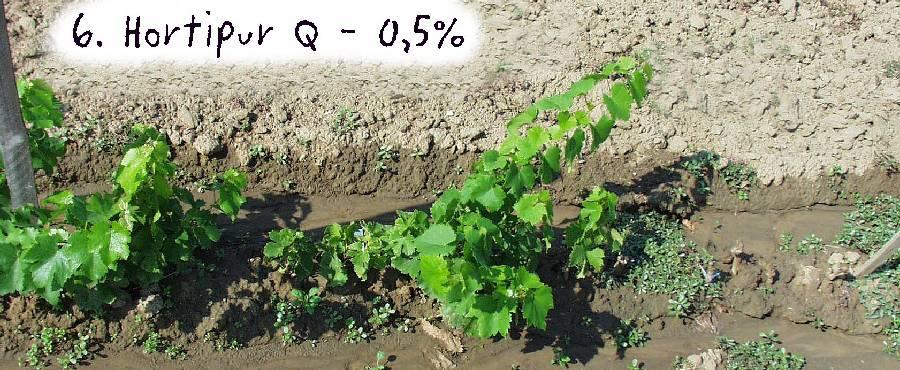 ntrácia Čas máčania 1.Neošetrená kontrola - - - 2. Hortipur B Kys.