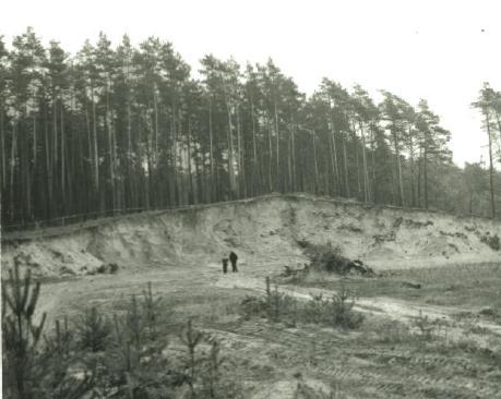 enkláva - zarůstající 